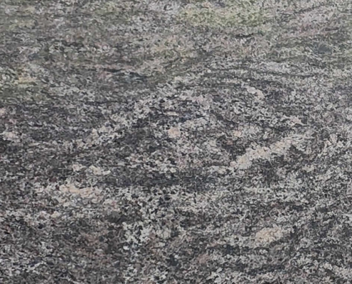 Chittor brown paradise