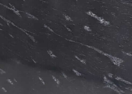 Fish Black Granite